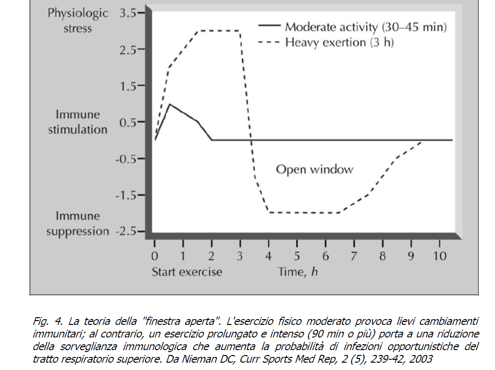 l'attività fisica migliora il sistema immunitario